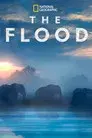 The Flood