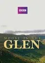 Moose in the Glen