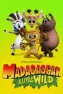 Madagascar: Pequeños salvajes