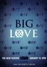 Big Love
