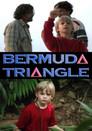 Bermuda Triangle