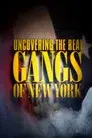 Uncovering the Real Gangs of New York
