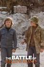 The Battle of Billy's Pond