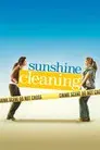 Sunshine Cleaning