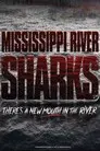 Mississippi River Sharks