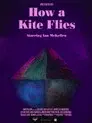How a Kite Flies