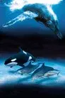 Delfines y ballenas - Tribus del océano