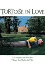 Tortoise in Love