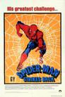 Spider-Man 2: El Hombre Araña en acción