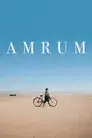La isla de Amrum