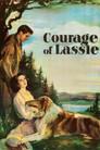 El coraje de Lassie