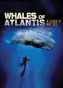 Les baleines de l'Atlantide
