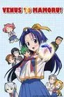 Mamoru-kun ni Megami no Shukufuku wo!