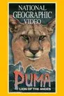 Puma: El León de los Andes