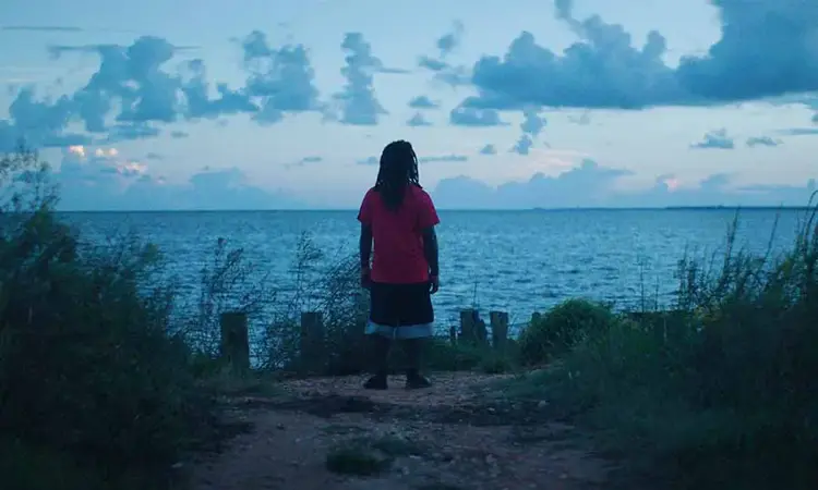 Crítica de 'Descendant', una comunidad en busca de la verdad (Netflix)