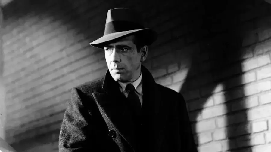 Películas para ver en streaming y celebrar el 'Mes Noirvember'