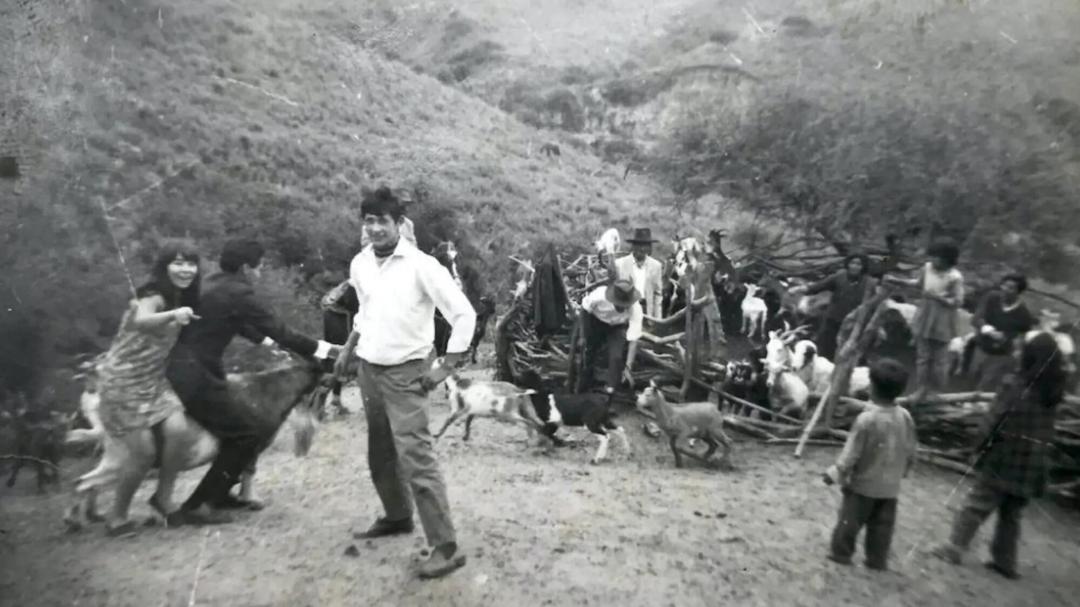 'Nuestra Tierra': el documental de Lucrecia Martel sobre territorio y memoria