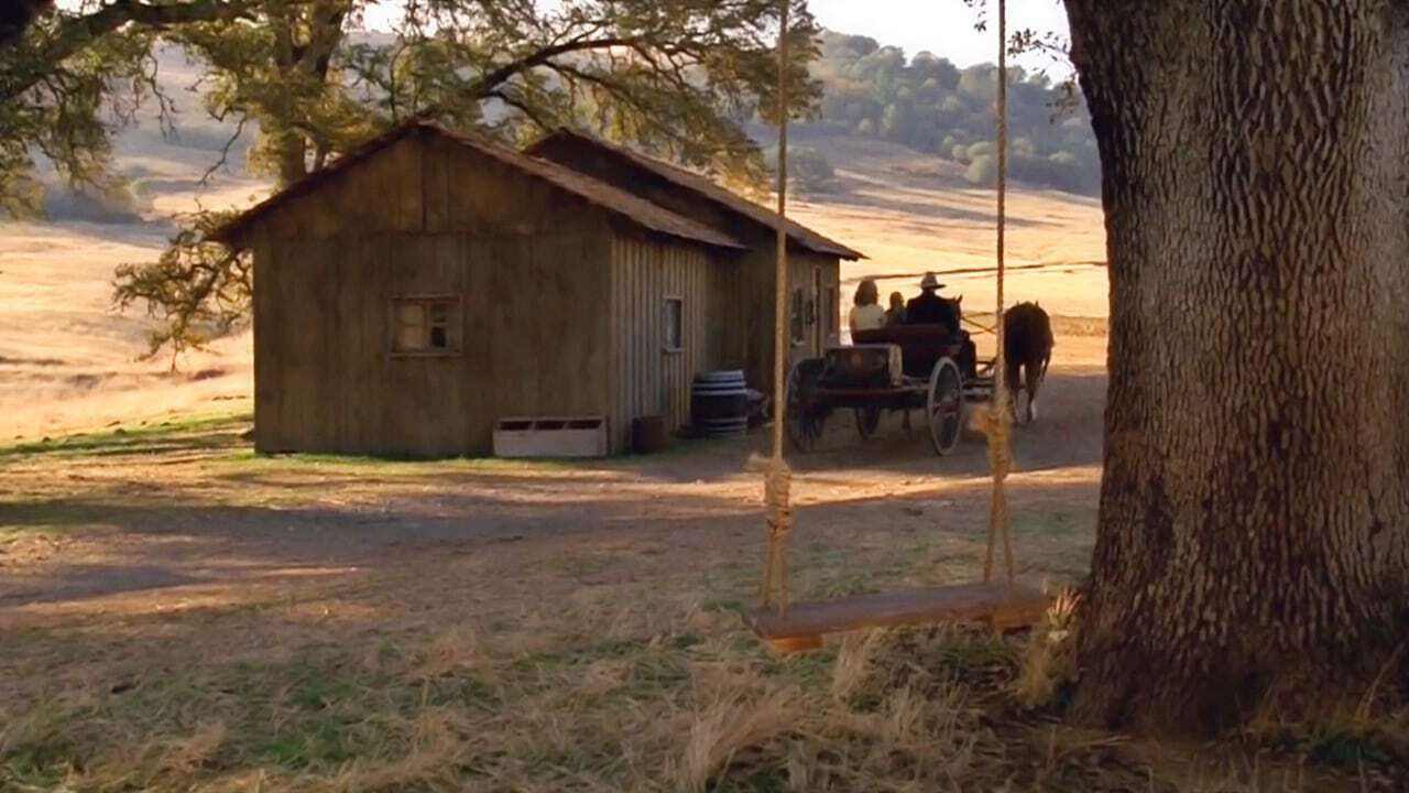 El amor llega suavemente