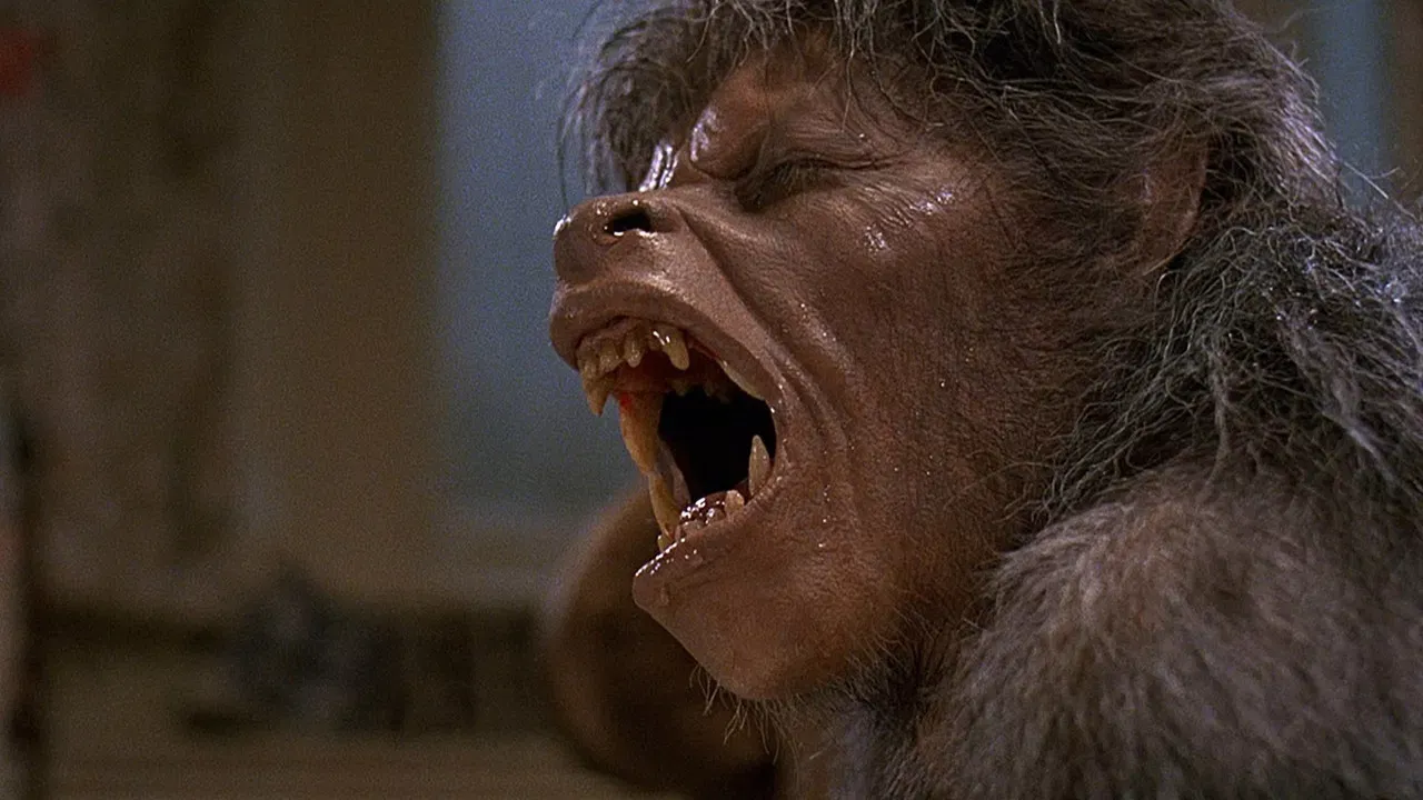 Un hombre lobo americano