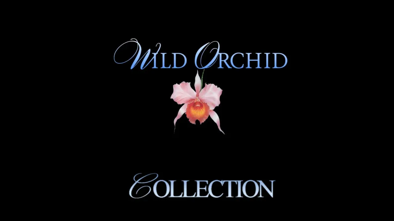 Wild Orchid