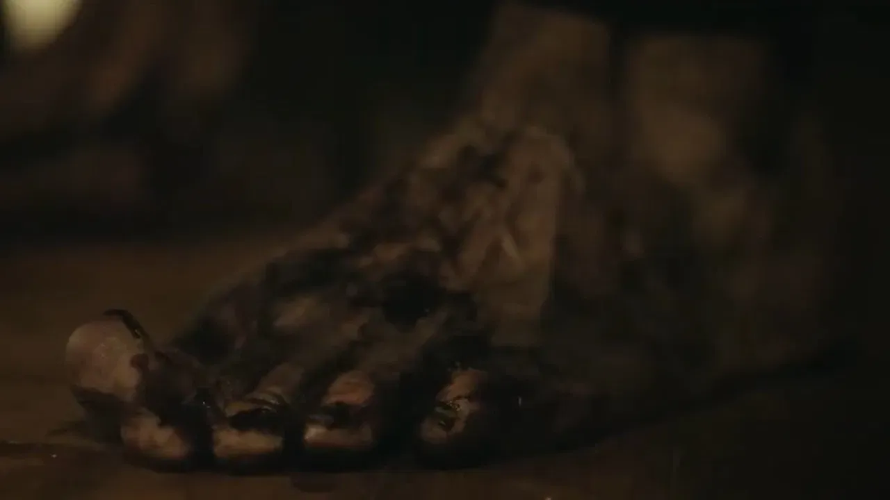 Retratos del Apocalipsis fondo