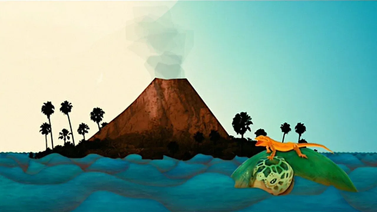 Isla de Nim