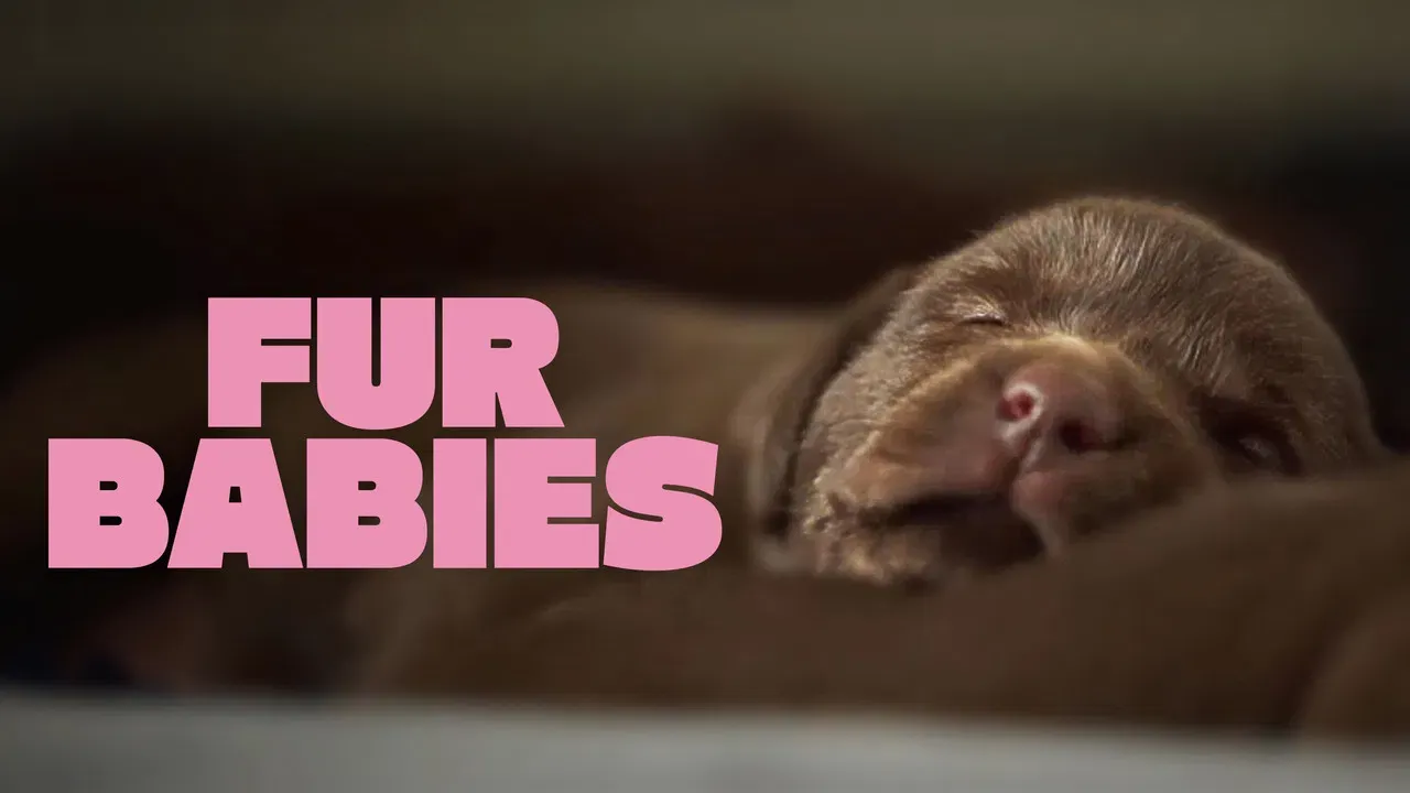 Fur Babies fondo