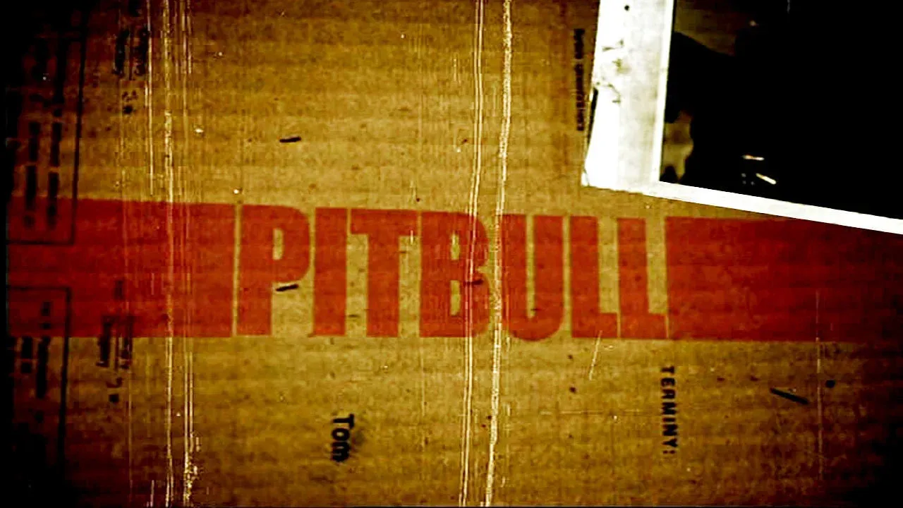 Pitbull