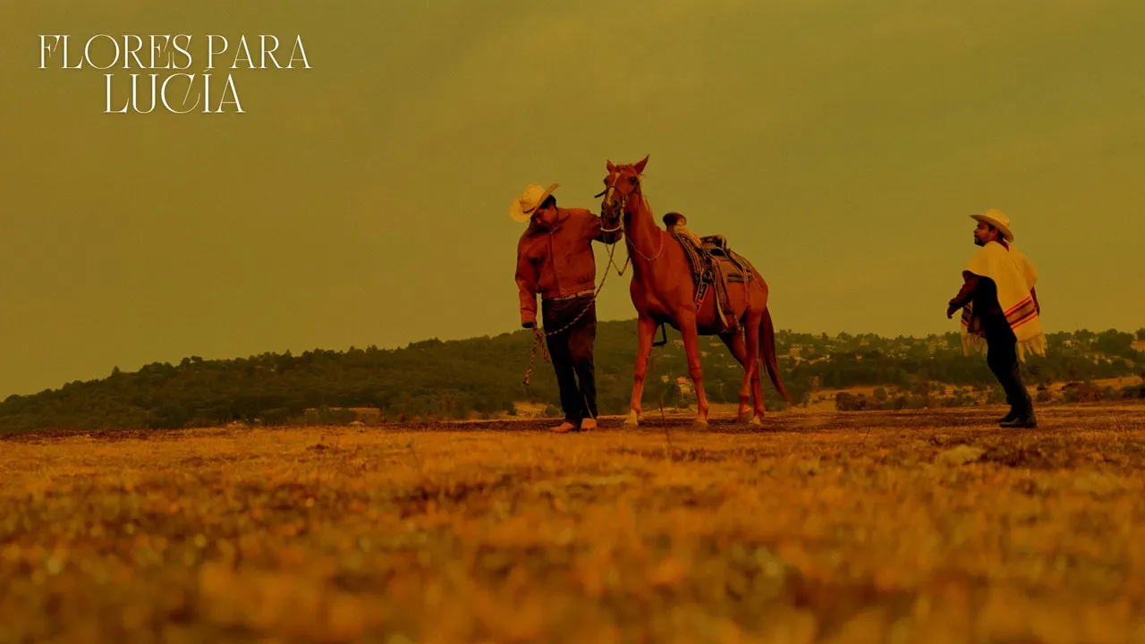 Flores para lucia fondo