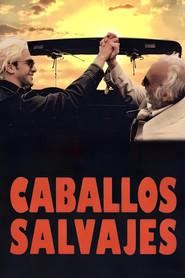 Caballos salvajes