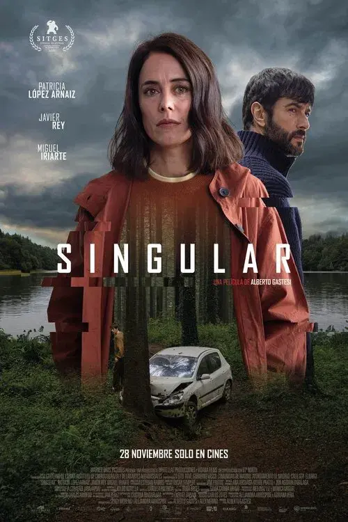 Singular poster