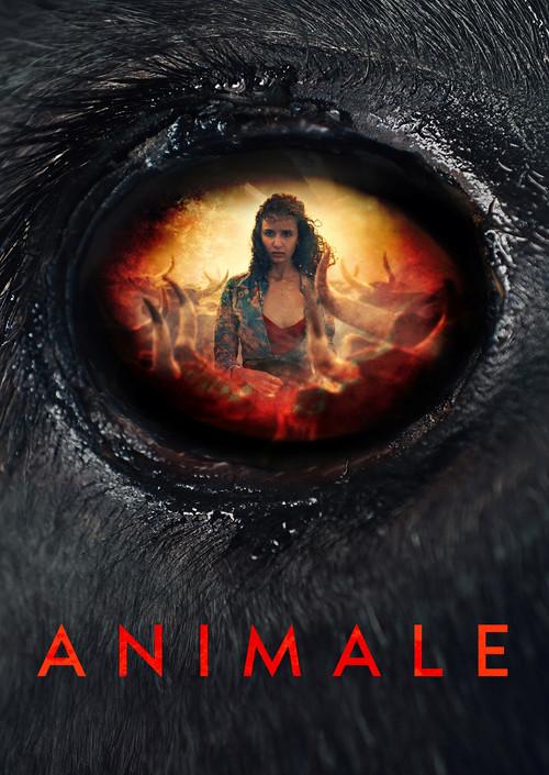 Animale poster