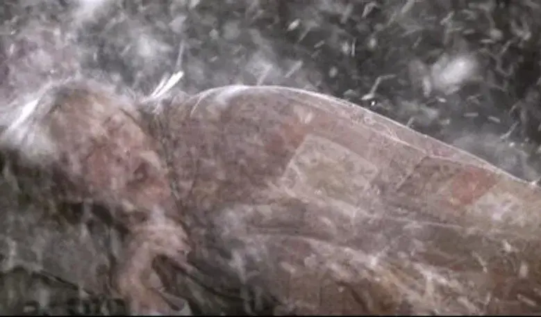 Sin nadie que me cuide