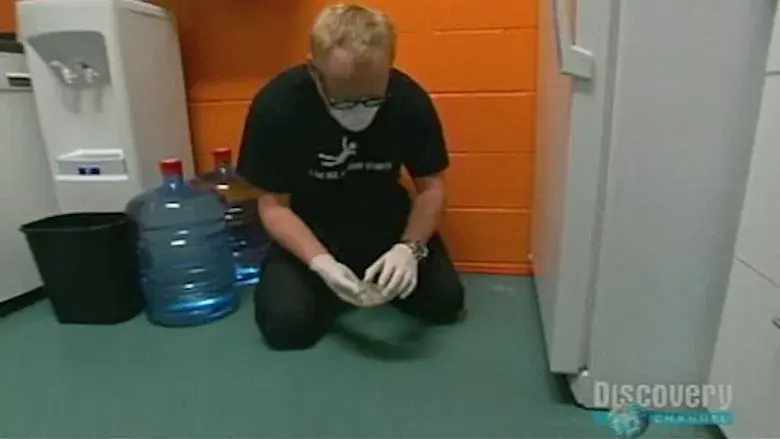 Alarma de invasión china