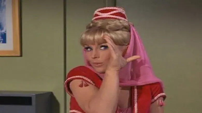 Mi Amo el alegre soltero