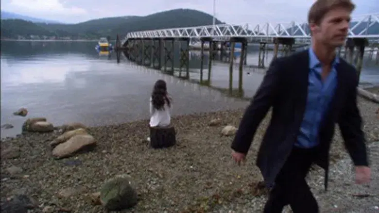 Un fantasma en la máquina