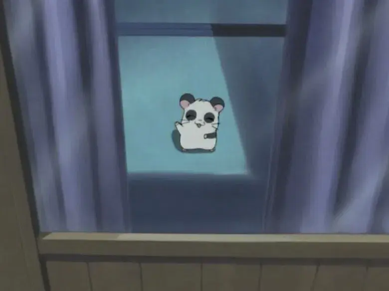 Celebración de media noche