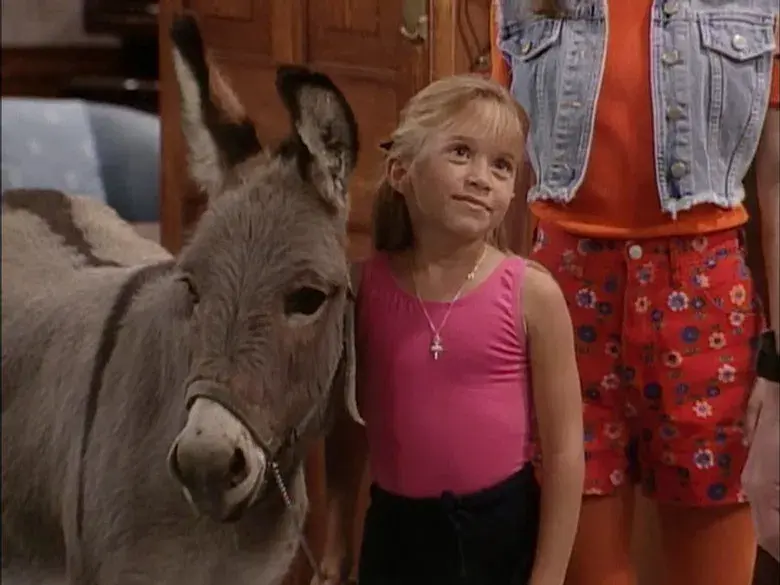 Lo has acariciado y lo compras