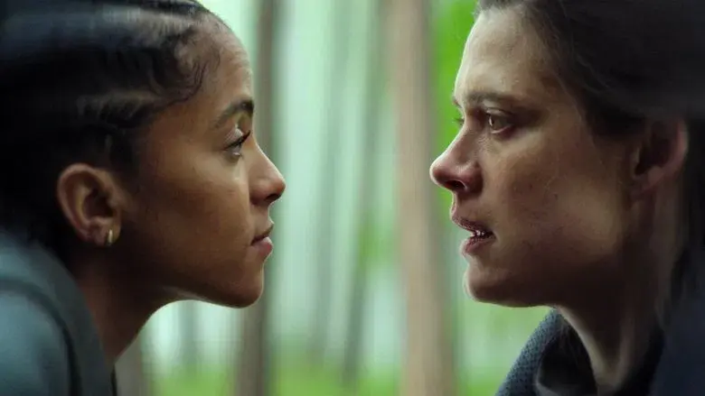 Los caminos que nos escogen