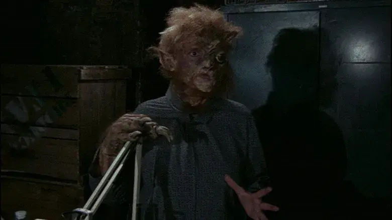 El maullido del gato: Segunda parte