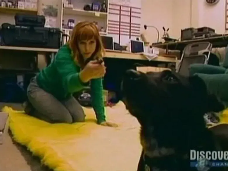 Delitos y comportamientos míticos 2