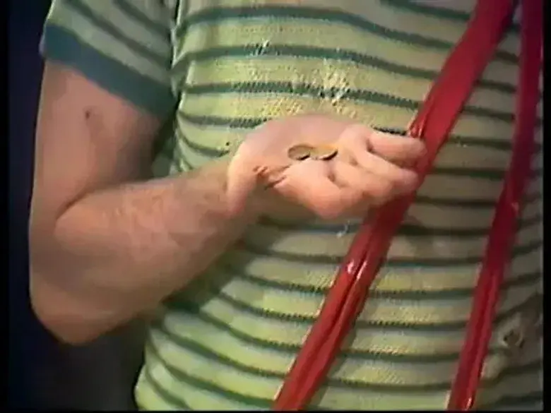 Las monedas / El metichito / El sarampión