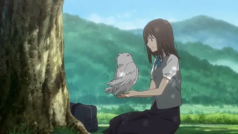 Fragmentos de un sueño