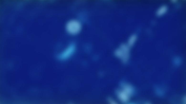 Detención total Pt. 2