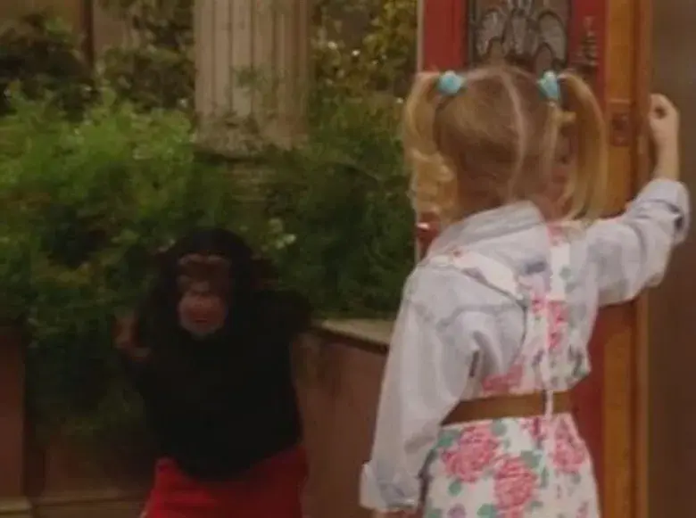 Una mona en la casa de los Tanner