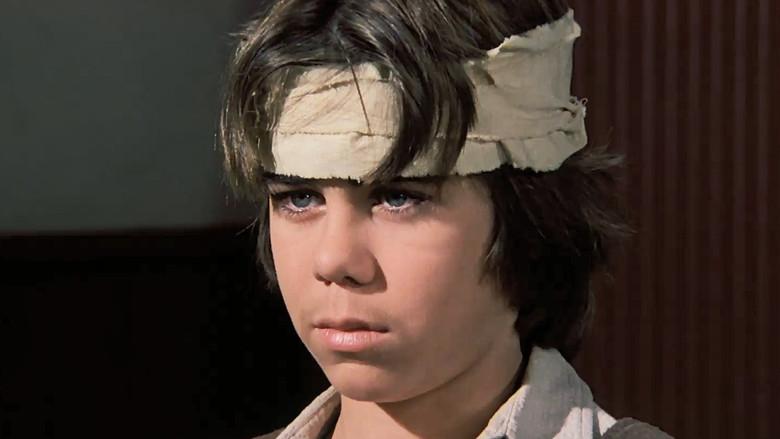 Incendiario de graneros