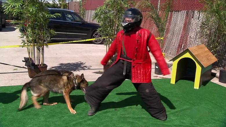 Desastre del alcantarillado