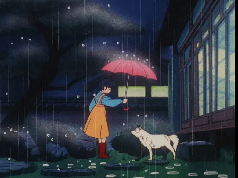 El perro blanco y negro