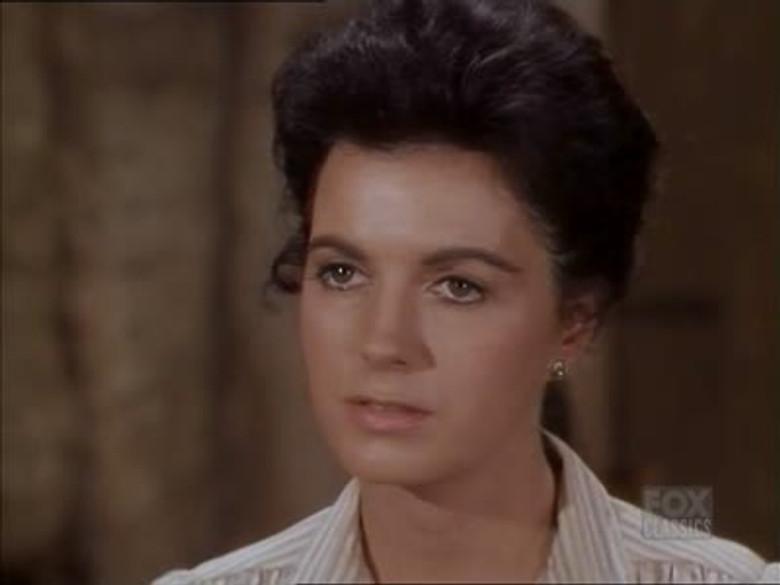 La Cámara de Lonely