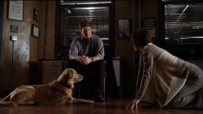 Un misterio muy canino